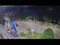 Webcam Cannobio