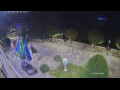 Webcam Canobio