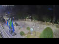 Webcam Cannobio