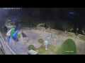 Webcam Cannobio
