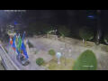 Webcam Canobio