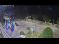 Webcam Cannobio