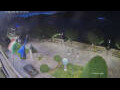 Webcam Canobio