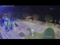 Webcam Cannobio