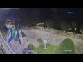 Webcam Canobio