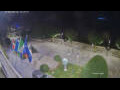 Webcam Canobio