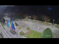 Webcam Canobio