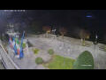 Webcam Cannobio