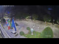 Webcam Cannobio