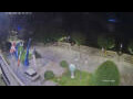 Webcam Cannobio