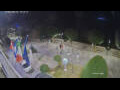 Webcam Cannobio