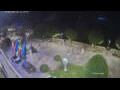 Webcam Canobio