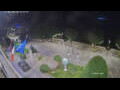 Webcam Canobio