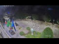 Webcam Cannobio