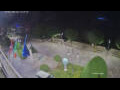 Webcam Cannobio