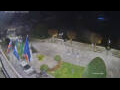 Webcam Cannobio