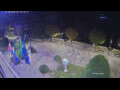 Webcam Canobio