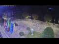 Webcam Cannobio