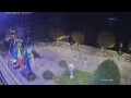 Webcam Canobio