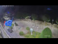 Webcam Canobio