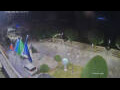 Webcam Canobio