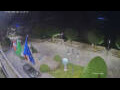 Webcam Canobio