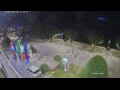 Webcam Cannobio