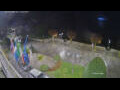 Webcam Cannobio