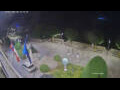 Webcam Canobio