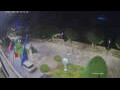 Webcam Cannobio