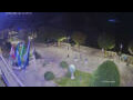 Webcam Canobio