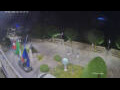 Webcam Canobio
