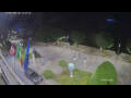 Webcam Canobio