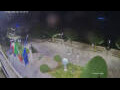 Webcam Cannobio