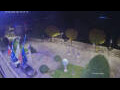 Webcam Cannobio