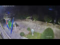 Webcam Cannobio