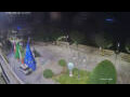 Webcam Cannobio
