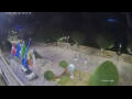 Webcam Canobio