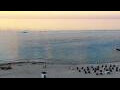 Webcam Kołobrzeg