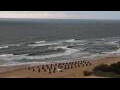 Webcam Kołobrzeg