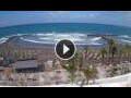 Webcam Playa de las Americas (Tenerife)