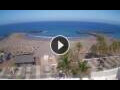 Webcam Playa de las Americas (Teneriffa)