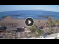 Webcam Playa de las Americas (Teneriffa)
