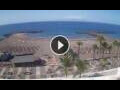 Webcam Playa de las Americas (Teneriffa)
