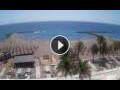 Webcam Playa de las Americas (Teneriffa)