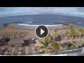 Webcam Playa de las Americas (Teneriffa)