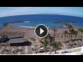 Webcam Playa de las Americas (Tenerife)