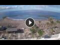 Webcam Playa de las Americas (Teneriffa)