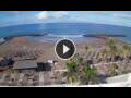 Webcam Playa de las Americas (Tenerife)