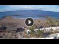 Webcam Playa de las Americas (Teneriffa)
